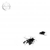 Abstrusa Unde : 2008